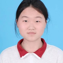 Y女士